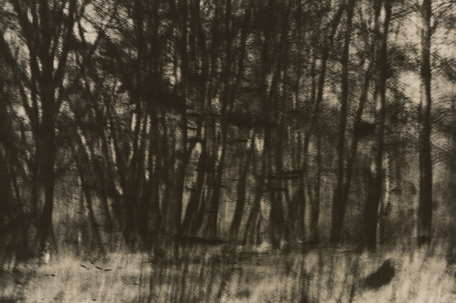 z cyklu bez tytułu, nr neg. 699/36a